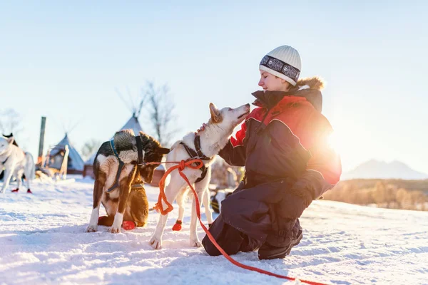 Tiener Met Een Knuffel Met Husky Slede Honden Noord Noorwegen — Stockfoto