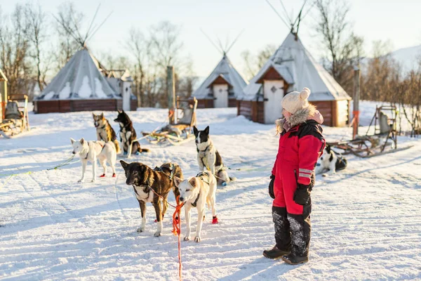 Очаровательная Девушка Обнимается Собакой Салагой Ферме Северной Норвегии — стоковое фото