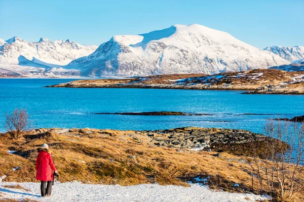 Back View Young Woman Enjoying Breathtaking Fjords Winter Landscape Northern — Stock Photo, Image