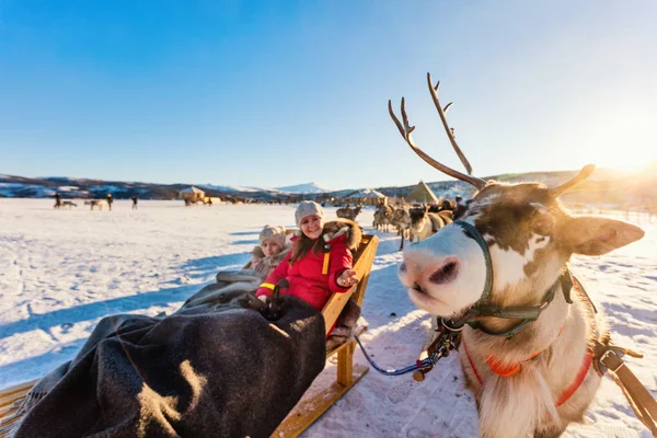 Family Mother Her Daughter Reindeer Safari Sunny Winter Day Northern — Stock Photo, Image