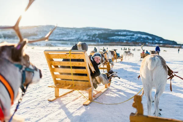 Dospívající Chlapec Jeho Rodina Sáňkování Sobí Safari Slunný Zimní Den — Stock fotografie