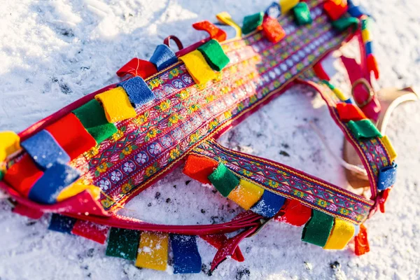 Close Colorful Reindeer Rig Belt Used Pulling Sledge — Stock Photo, Image