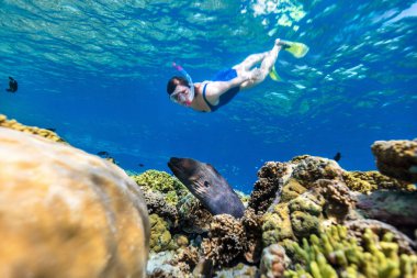 Sualtı temizlemek tropikal su mercan Müren balığı gözlemleyerek, şnorkel kadın fotoğrafı