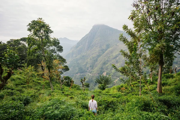 Mujer Joven Disfrutando Impresionantes Vistas Las Montañas Plantaciones Ella Sri — Foto de Stock