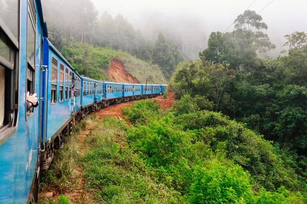 Trenle Ella Kandy Için Sri Lanka Dağlık Çay Tarlaları Arasında — Stok fotoğraf