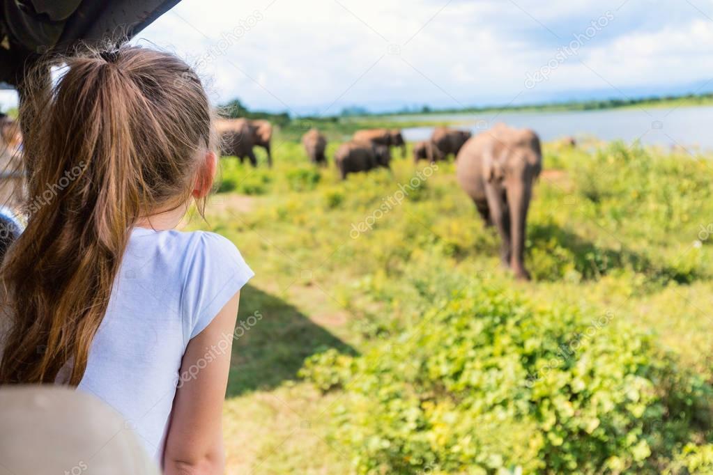 Back view of adorable little girl on safari in Sri Lanka observing elephants from open vehicle