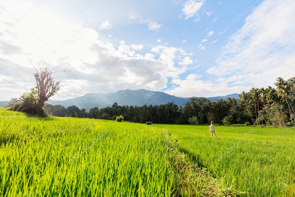 Adorable girl enjoying beautiful evening walk in rice fields in Sri Lanka