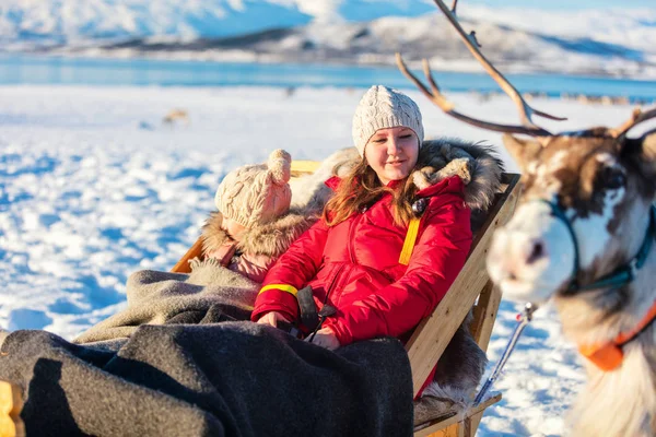 Сім Матері Дочка Оленів Safari Сонячний Зимовий День Північній Норвегії — стокове фото
