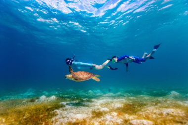 Anne ve oğlunun Hawksbill deniz kaplumbağasıyla şnorkelle yüzerken çekilmiş sualtı fotoğrafı.