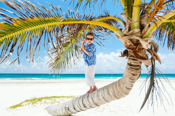 Bambino Sulla Palma Cocco Sulla Spiaggia Caraibica — Foto Stock