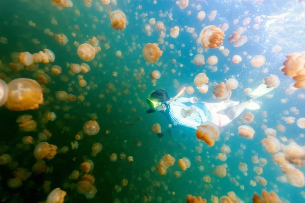 旅游女人与地方性金黄水母湖在帕劳浮潜水下照片 在水母湖浮潜是受欢迎的活动 为游客到帕劳 — 图库照片