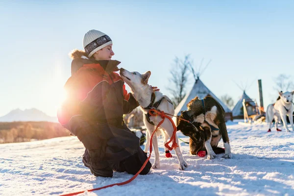 Tiener Met Een Knuffel Met Husky Slede Honden Noord Noorwegen — Stockfoto