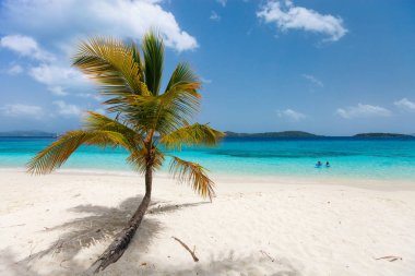 Beautiful tropical beach with palm trees, white sand, turquoise ocean water and blue sky on St John, US Virgin Islands in Caribbean clipart