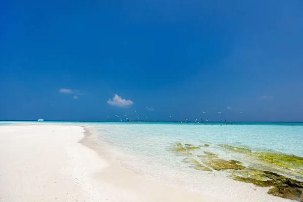 美丽的热带海滩上沙洲在马尔代夫 — 图库照片