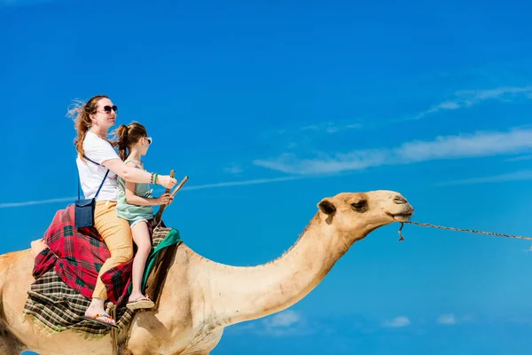 Family mother and daughter riding camel at  tropical white sand beach