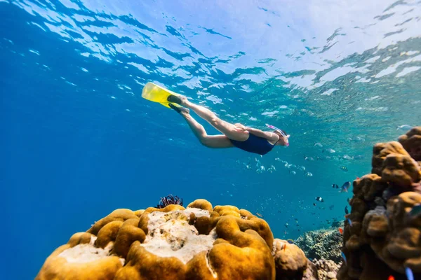 Foto Submarina Una Mujer Haciendo Snorkel Buceando Gratis Agua Tropical — Foto de Stock