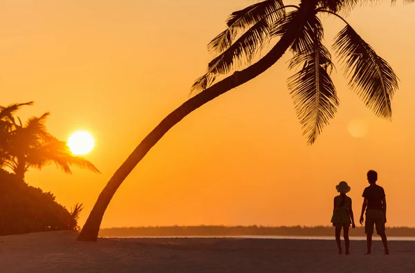 Silhouetten Van Twee Kinderen Aan Het Tropische Strand Bij Zonsondergang — Stockfoto