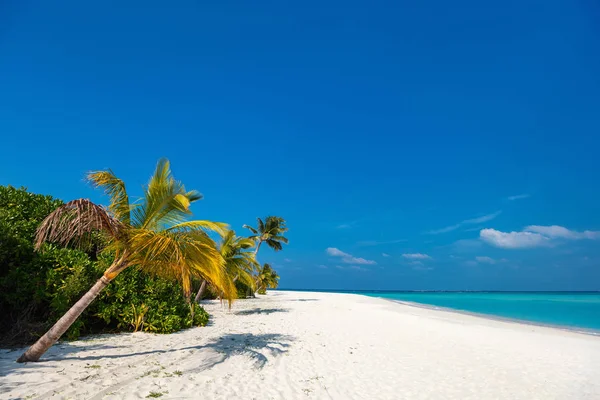 Gyönyörű Trópusi Strand Egzotikus Sziget Maldív Szigetek — Stock Fotó