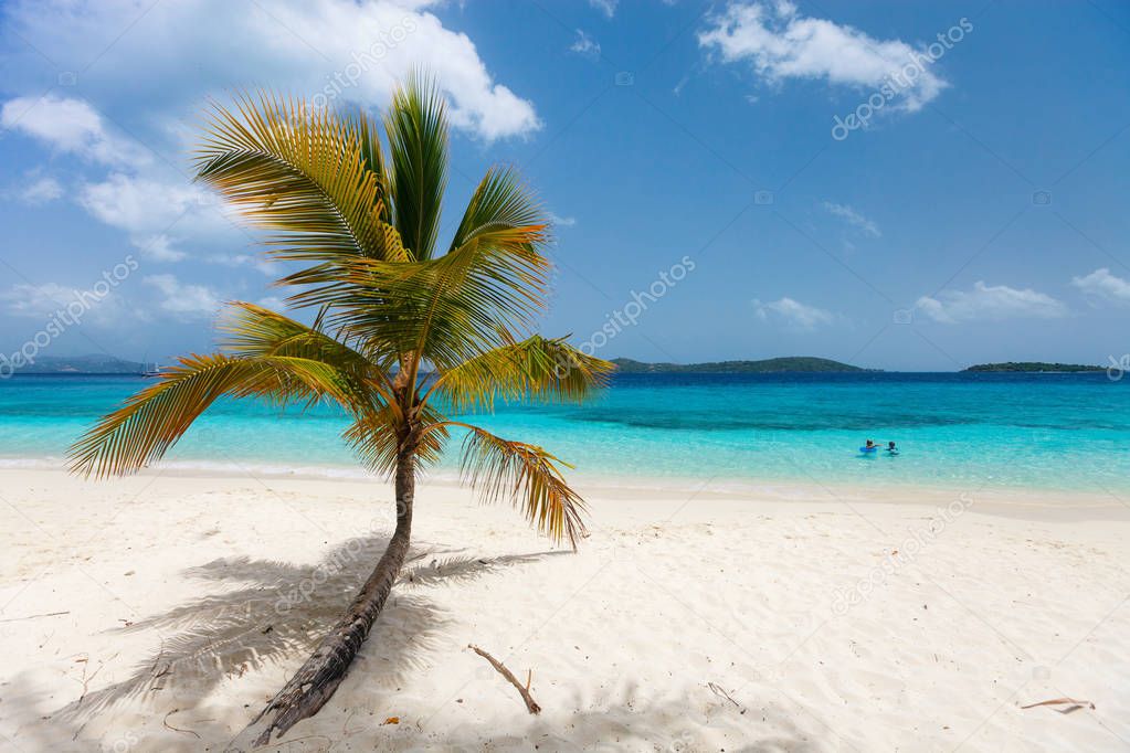 Beautiful tropical beach with palm trees, white sand, turquoise ocean water and blue sky on St John, US Virgin Islands in Caribbean