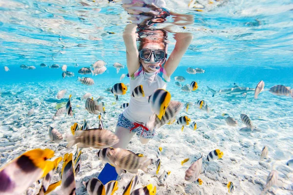 浮潜的五颜六色的鱼之间的明确热带水域的女人 — 图库照片