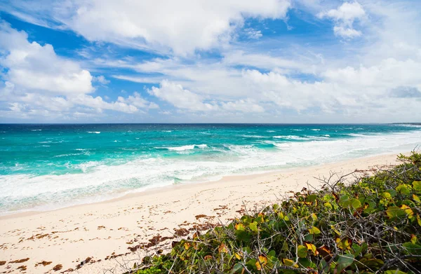 Τροπική Παραλία Και Θάλασσα Στο Νησί Μπαχάμες Ἐλευθέρα — Φωτογραφία Αρχείου