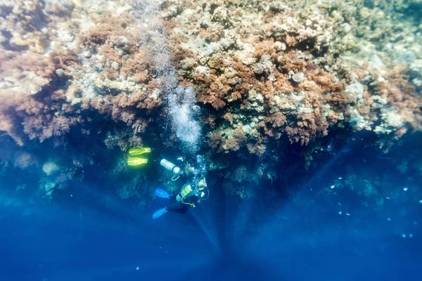 Dalgıçlar Güzel Renkli Mercan Resif Sualtı Palau — Stok fotoğraf