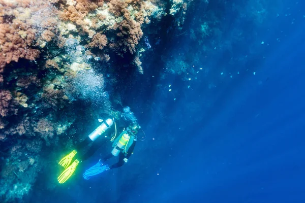 Buceadores Hermoso Arrecife Coral Bajo Agua Palau — Foto de Stock