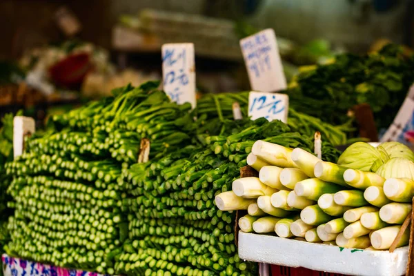 Diferentes Tipos Hierbas Verdes Frescas Mercado — Foto de Stock