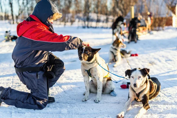 在挪威北部与沙哑的雪橇狗拥抱的少年男孩 — 图库照片