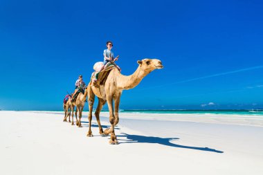 Aile anne ve çocuklar tropikal beyaz kum plaj, deve sürme