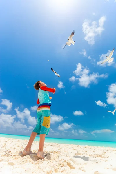 Ragazzino Uno Stormo Gabbiani Sulla Spiaggia Caraibica — Foto Stock