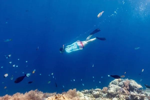 Underwater Photo Woman Snorkeling Free Diving Clear Tropical Water Coral — Stock Photo, Image