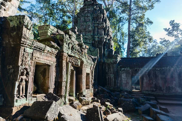 Templet Angkor Wat Djungeln Siem Reap Kambodja — Stockfoto