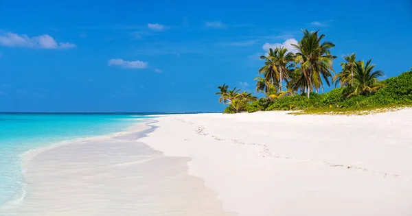 Bella Spiaggia Tropicale Sull Isola Esotica Alle Maldive — Foto Stock