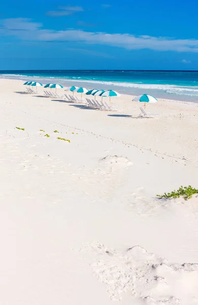 美丽的加勒比海滩上的椅子和雨伞 — 图库照片
