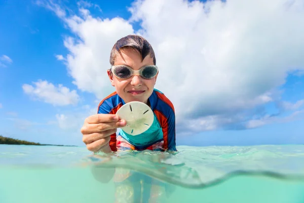 Ładny Chłopczyk Tropikalnej Plaży Trzymając Sand Dollar — Zdjęcie stockowe