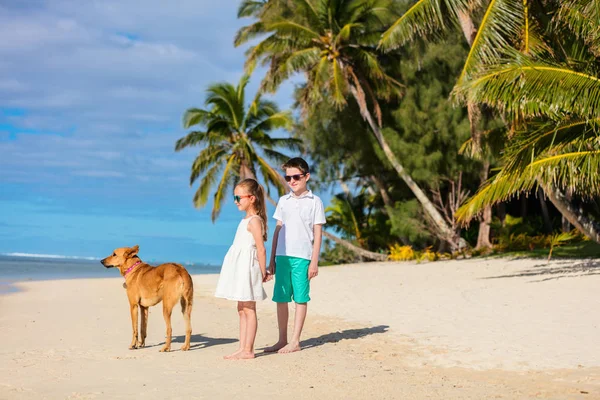 小孩子的兄弟姐妹和狗在热带海滩在暑假期间 — 图库照片