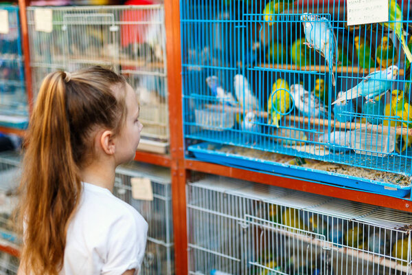 Little Girl Looking Birds Cages Sale Birds Market Souq Waqif — Stock Photo, Image