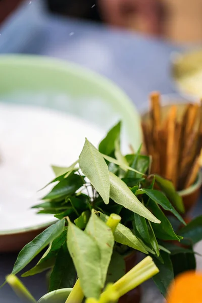 Curry Leveleket Curry Szolgáló Alapanyagok Főzéshez Kókusztej — Stock Fotó