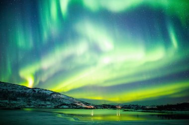 Incredible Northern lights Aurora Borealis activity above the coast in Norway clipart