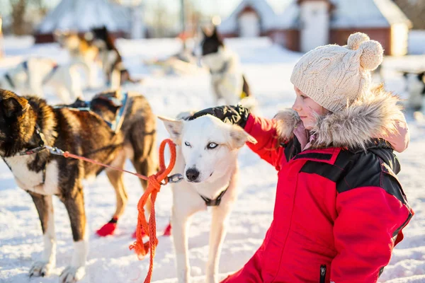 Adorabile Ragazza Avendo Coccole Con Husky Slitta Cane Fattoria Nel — Foto Stock