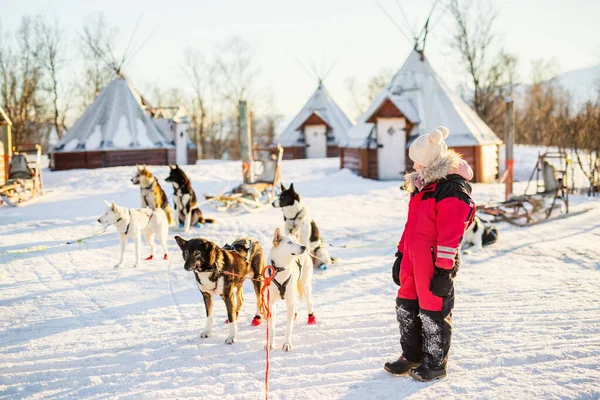 Imádnivaló Lány Miután Egy Átölel Husky Kutyaszán Farm Észak Norvégia — Stock Fotó