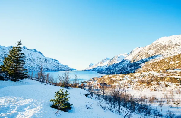 ノルウェー北部でセニヤ島島の息をのむフィヨルド風景の冬の風景 — ストック写真