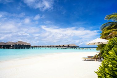 Maldivler 'deki egzotik adada güzel tropikal plaj