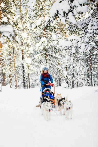 Husky Honden Trekken Slee Met Familie Het Winterbos Lapland Finland — Stockfoto