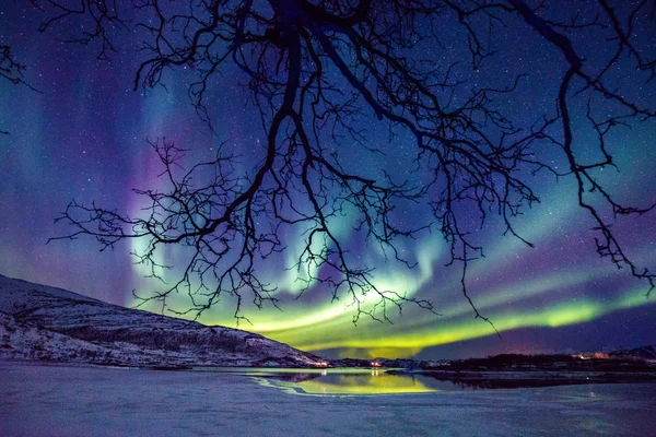 ノルウェーの海岸の上の信じられないほどのオーロラ オーロラ活動 — ストック写真