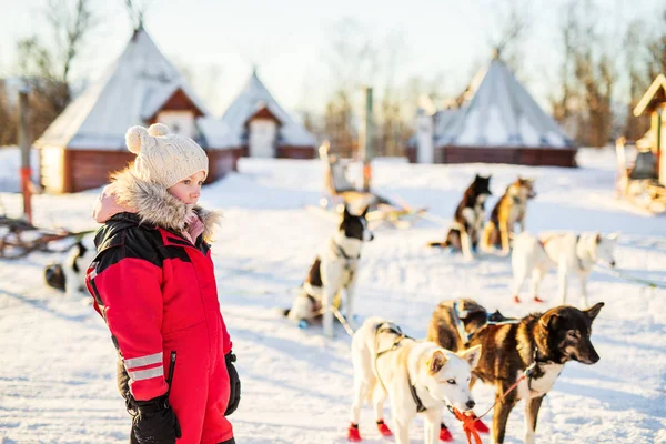 Entzückendes Mädchen Beim Kuscheln Mit Husky Schlittenhund Auf Einem Bauernhof — Stockfoto