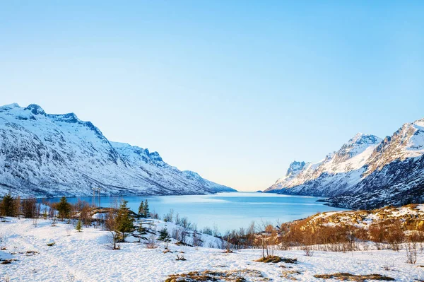 挪威北部 Senja 岛壮观的峡湾风光冬季景观 — 图库照片