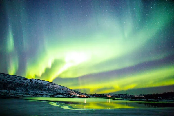 令人难以置信的北极光在挪威海岸上空的北极光活动 — 图库照片