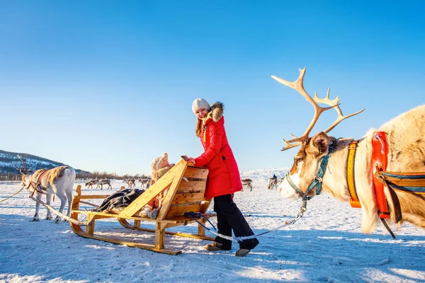 Familie Van Moeder Haar Dochter Rendier Safari Zonnige Winterdag Noord — Stockfoto